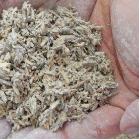 calcecanapa_bancadellacalce_1 Calcecanapa