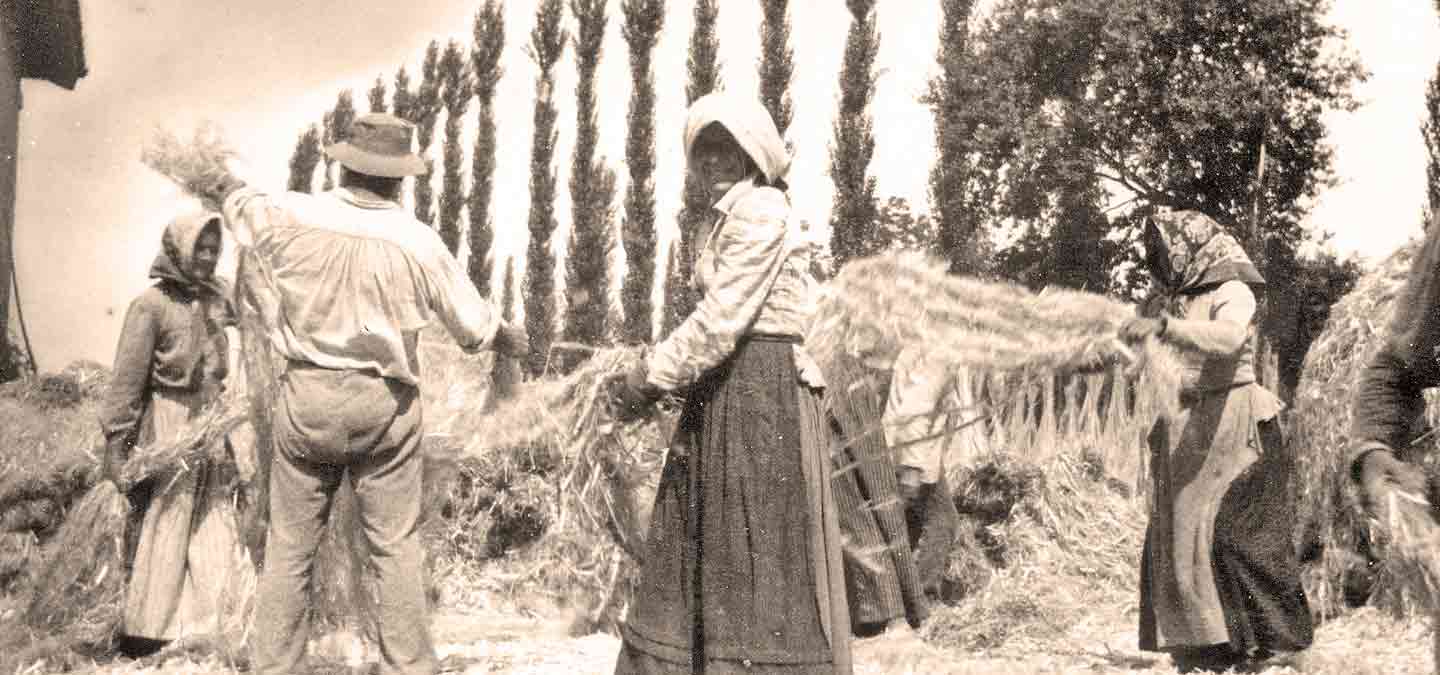 La Storia Della Canapa - Calcecanapa