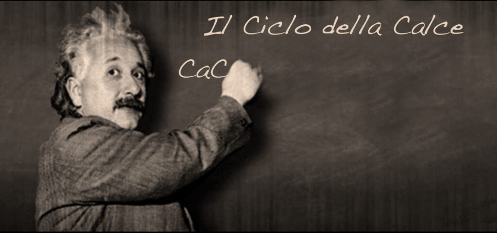 il ciclo della calce