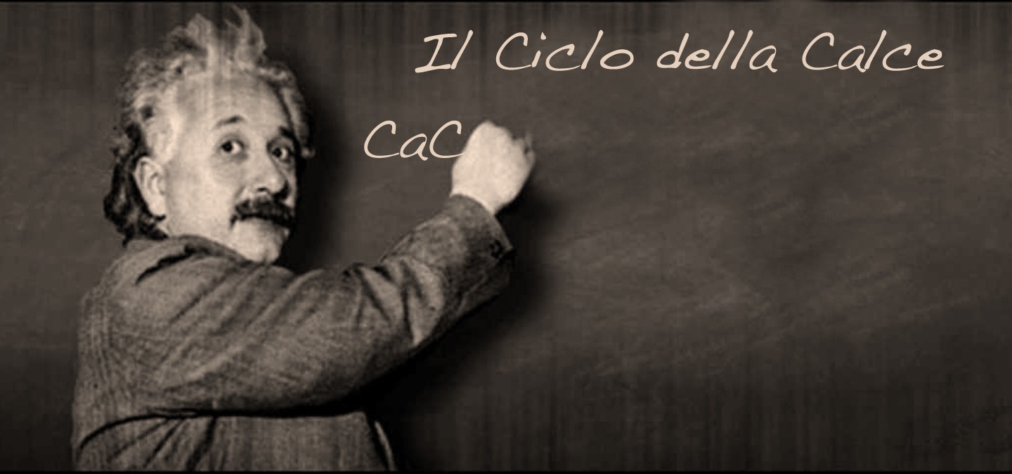 il-ciclo-della-calce il ciclo della calce