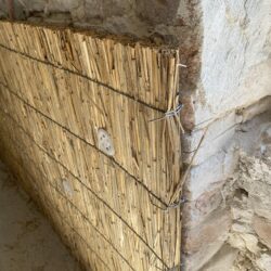 Cannapalustre_posata