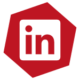 Seguici su Linkedin