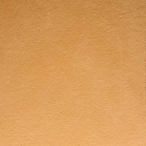 P02-OCRA-ORO-250