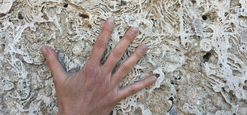 Gli intonaci tradizionali, specie quelli a calce, invecchiano nobilmente. Alcuni, in particolari condizioni, sviluppano una forma di degrado a dir poco artistica: il Flos Tectorii.  