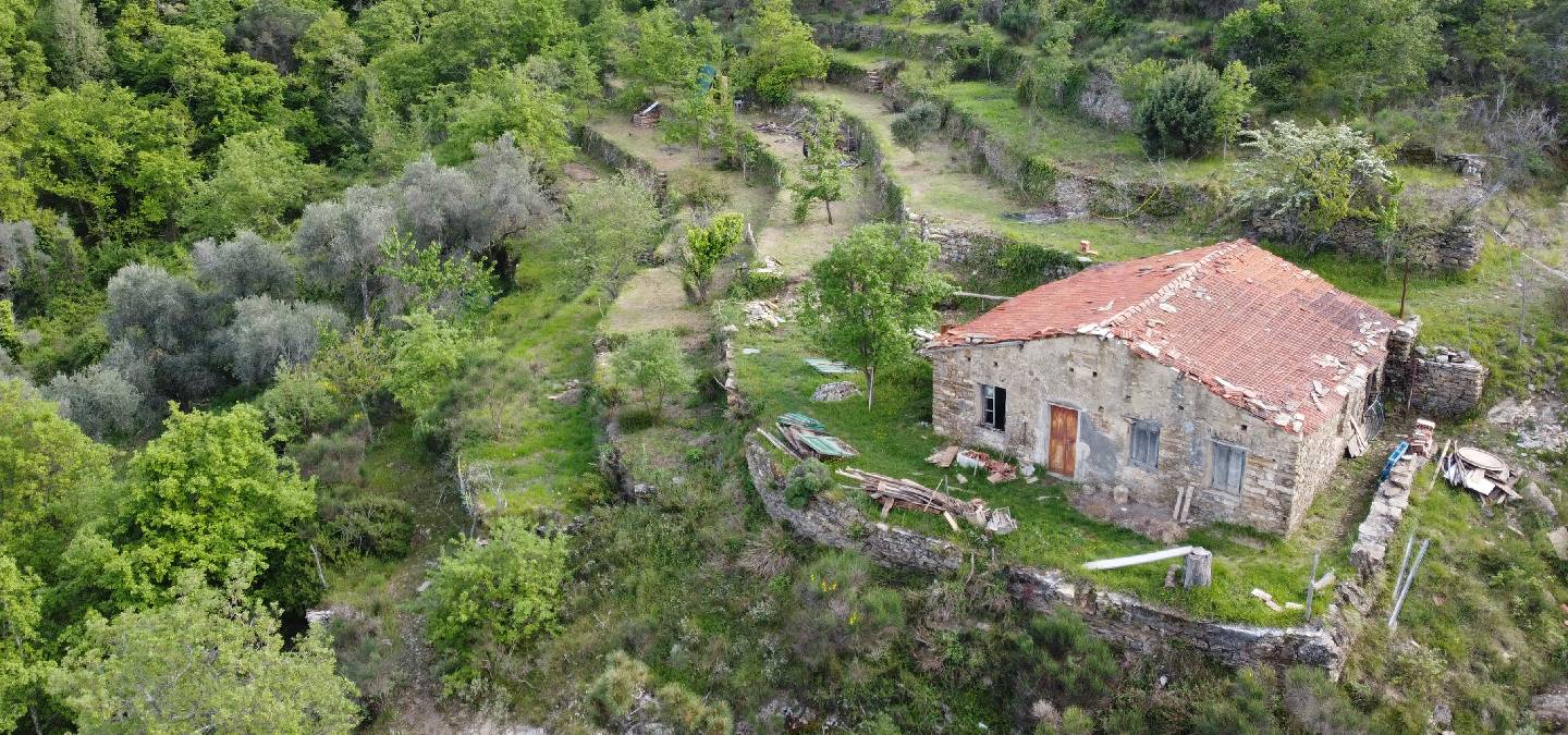MAVI Atelier
