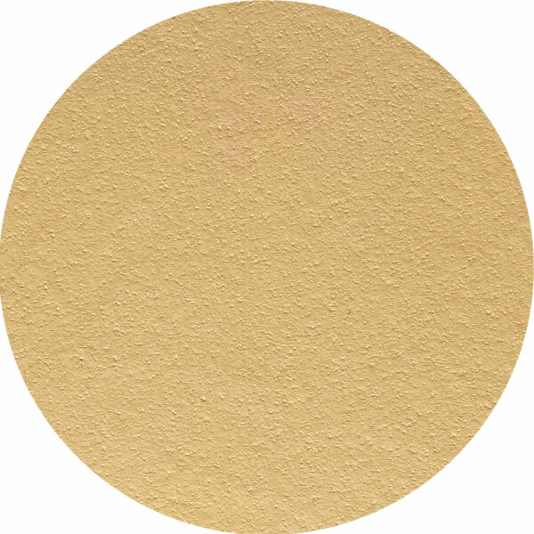 PAGLIA