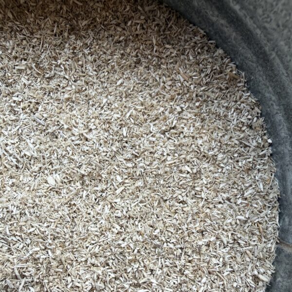 canapulo_fine - dimensioni grandi