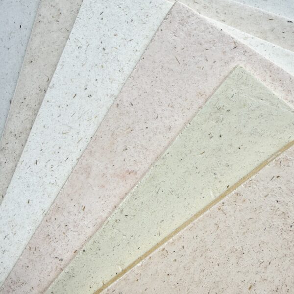 intonachini_calcecanapa_1 - dimensioni grandi