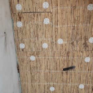 Cannapalustre A Champorcher (AO)