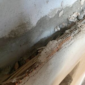 Cannapalustre A Civenna (CO)